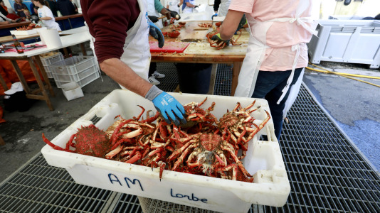 Cada Noviembre se celebra en el Puerto de Lorbé la Fiesta de la Centolla (21)
