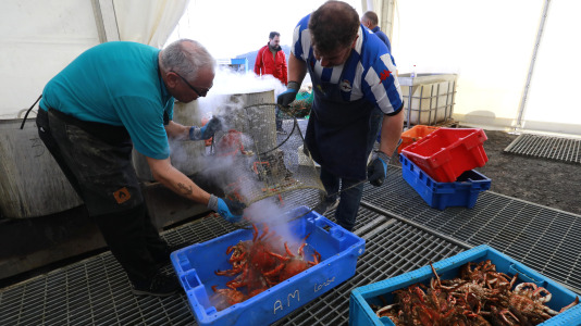 Cada Noviembre se celebra en el Puerto de Lorbé la Fiesta de la Centolla (16)