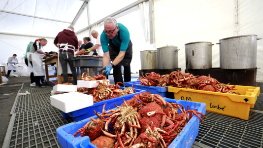 Cada Noviembre se celebra en el Puerto de Lorbé la Fiesta de la Centolla (4)