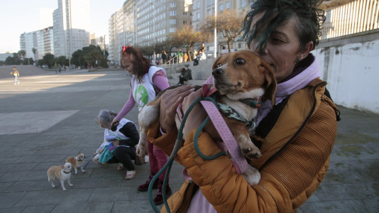 Recorrido de Pacma por el Paseo Marítimo (13)
