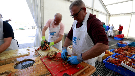 Cada Noviembre se celebra en el Puerto de Lorbé la Fiesta de la Centolla (22)