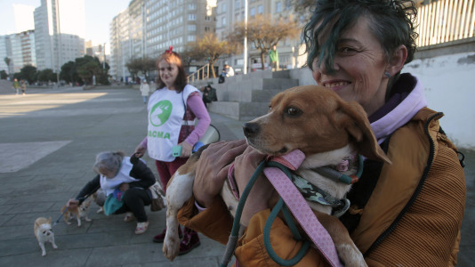 Recorrido de Pacma por el Paseo Marítimo (15)