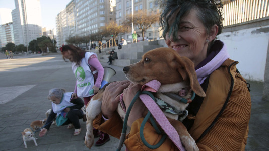 Recorrido de Pacma por el Paseo Marítimo (14)