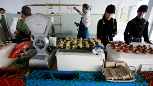 Promoción del pescado fresco en la lonja (29)