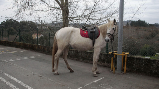 Cabalgata en A Barcala @Quintana (16)
