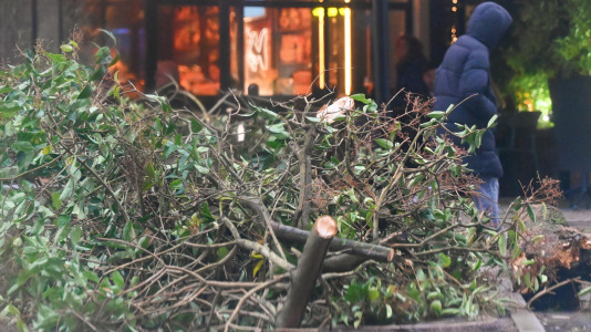 Viento y lluvia por el temporal Herminia en A Coruña @Pedro Puig (4)
