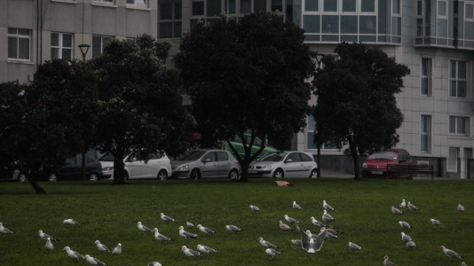 Viento y lluvia por el temporal Herminia en A Coruña @ Quintana (10)
