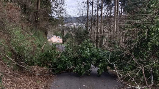 Desperfectos por el viento y la lluvia del temporal Éowyn (7)