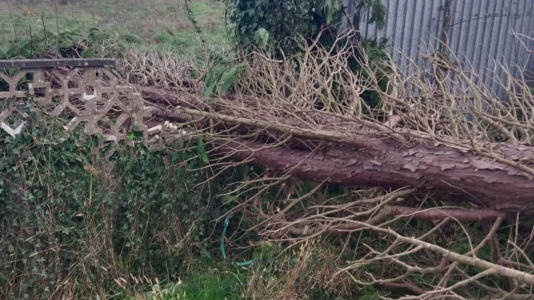Desperfectos por el viento y la lluvia del temporal Éowyn (3)