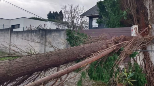 Desperfectos por el viento y la lluvia del temporal Éowyn (2)