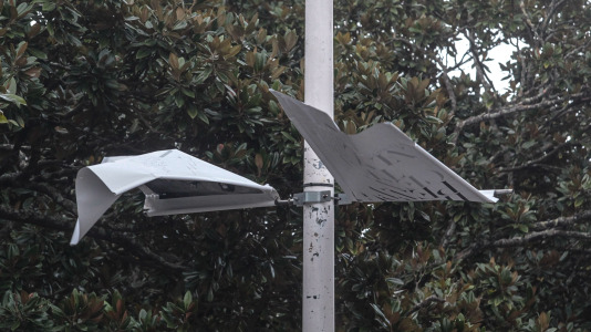 Viento por el temporal Éowyn en A Coruña @ Quintana (5)