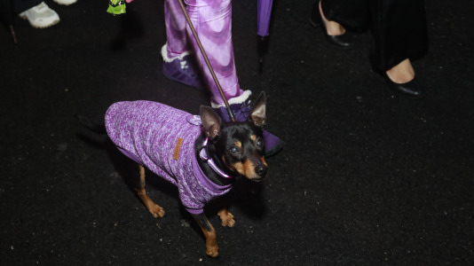 Día Internacional de la Mujer (28)