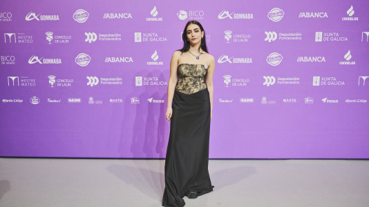 Premios Mestre Mateo 2025 @ M. Lamas (287)