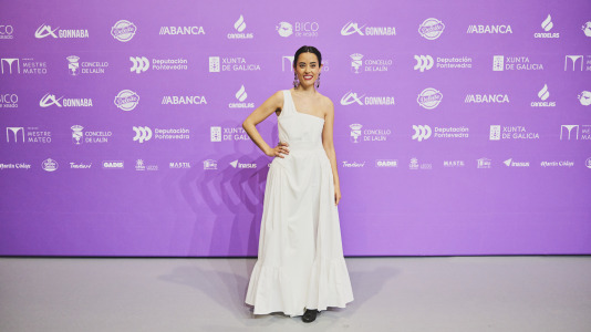 Premios Mestre Mateo 2025 @ M. Lamas (266)