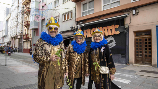 Carnaval monte alto (13) 16524265