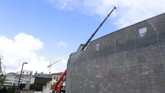 Los nuevos olmos que se plantarán en el jardín de San Carlos ya están en A Coruña (15)