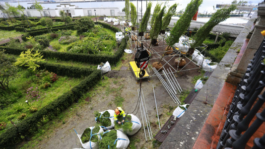 Los nuevos olmos que se plantarán en el jardín de San Carlos ya están en A Coruña (18)