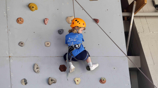 Qdcalle (16) 16542186