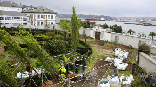 Los nuevos olmos que se plantarán en el jardín de San Carlos ya están en A Coruña (19)