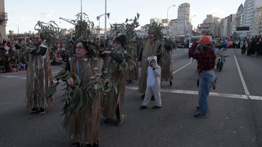 Desfile de comparsas 2025 en A Coruna (27)