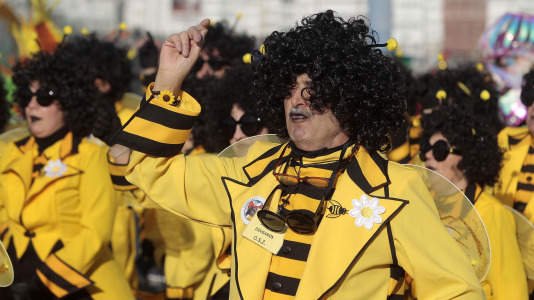 Desfile de comparsas 2025 en A Coruna (69)