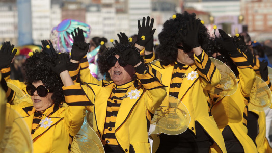 Desfile de comparsas 2025 en A Coruna (70)
