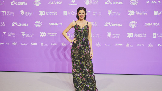 Premios Mestre Mateo 2025 @ M. Lamas (161)