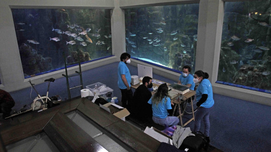 Feria Isabel Zendal 12