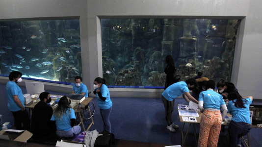 Feria Isabel Zendal13