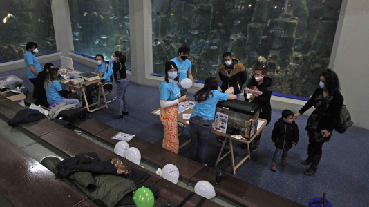 Feria Isabel Zendal 11