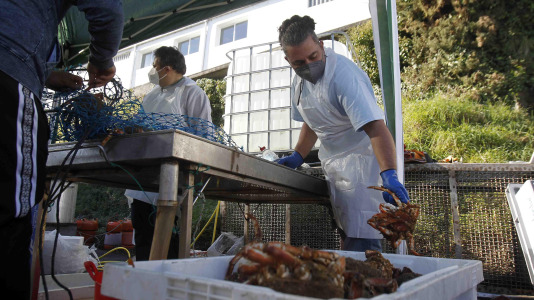 Festa da Centola en Lorbé 5