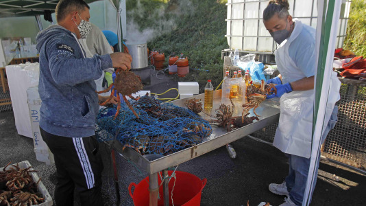 Festa da Centola en Lorbé 4