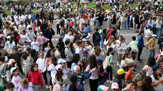 Correlingua @Pedro Puig (8)