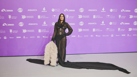 Premios Mestre Mateo 2025 @ M. Lamas (245)