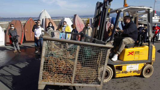 Festa da Centola en Lorbé 9