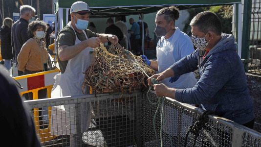 Festa da Centola en Lorbé 8