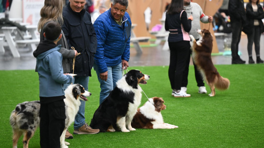 Concurso de belleza en Pata Pata @Pedro Puig (2)