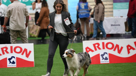Concurso de belleza en Pata Pata @Pedro Puig (23)