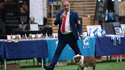 Concurso de belleza en Pata Pata @Pedro Puig (9)