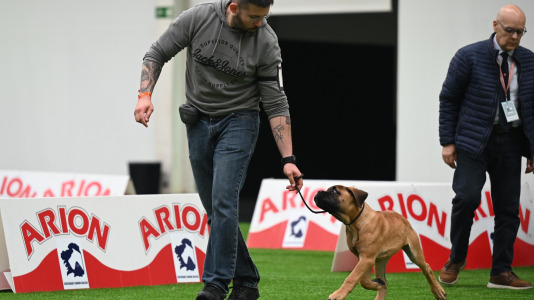 Concurso de belleza en Pata Pata @Pedro Puig (22)