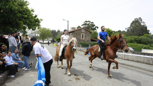Feira das Flores de Vilarmaior (16)