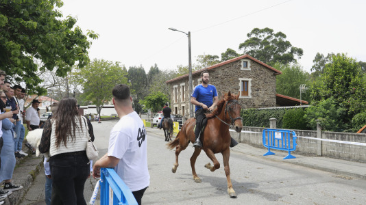 Feira das Flores de Vilarmaior (33)