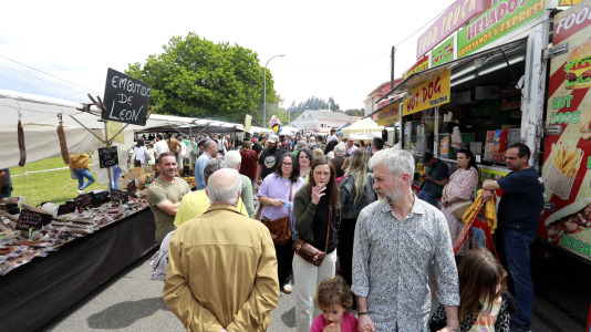 Feira das Flores de Vilarmaior (35)