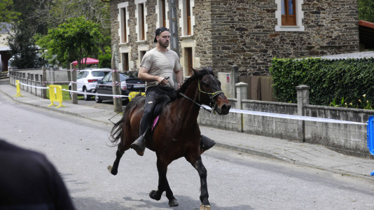 Feira das Flores de Vilarmaior (7)