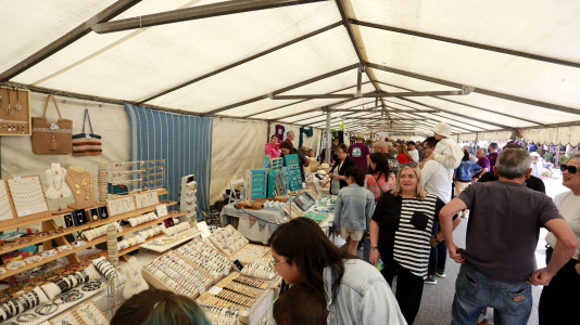 Feira das Flores de Vilarmaior (39)