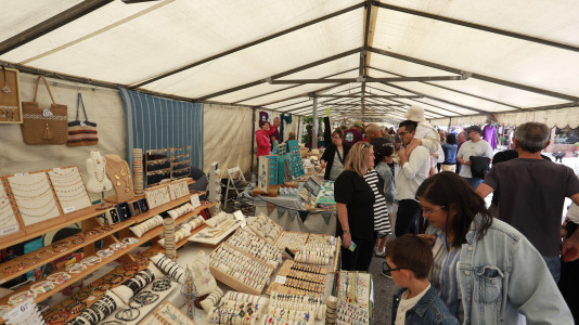 Feira das Flores de Vilarmaior (38)