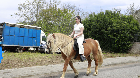 Feira das Flores de Vilarmaior (31)