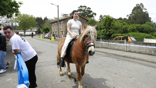Feira das Flores de Vilarmaior (30)