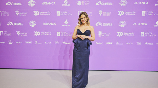 Premios Mestre Mateo 2025 @ M. Lamas (154)