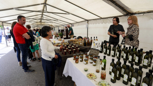 Feira das Flores de Vilarmaior (36)